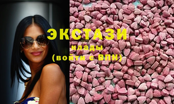 стаф Богданович