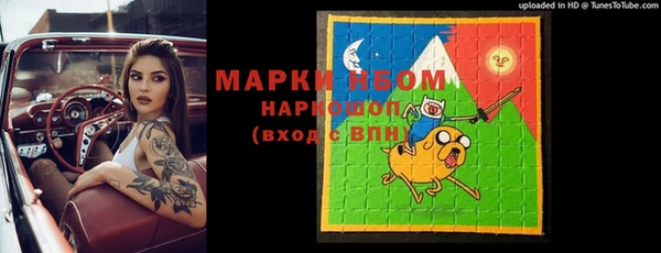 стаф Богданович