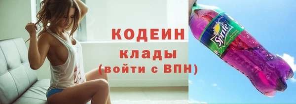 стаф Богданович