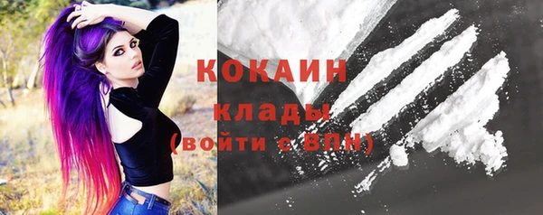 стаф Богданович