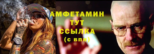 стаф Богданович